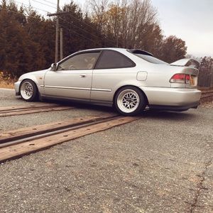 Meet your Posher, Willy